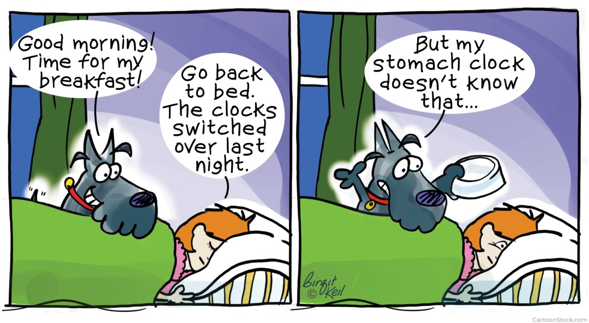 Daylight Savings a disaster for your brain Friederike Fabritius